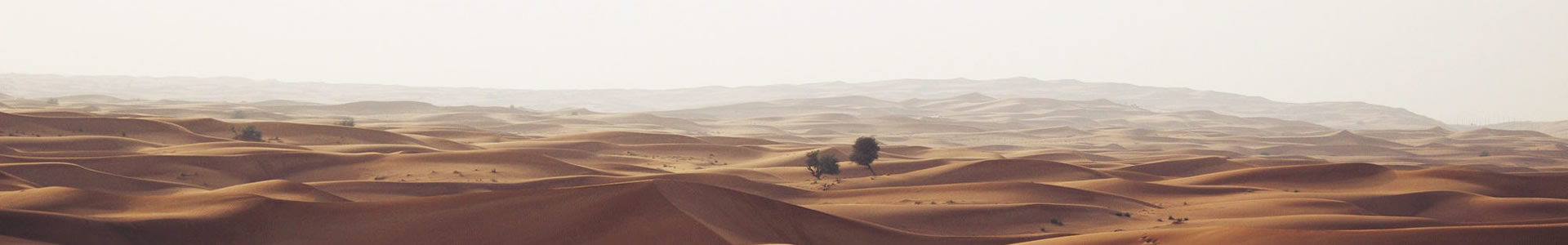 ҵ޹˾